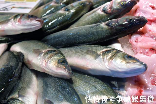 清蒸|买鲈鱼时，个头大的并不是好的，认准这几点，鱼贩子都夸你是内行