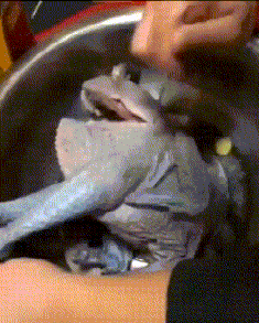 |搞笑GIF趣图有个坑爹的孩子,就问你疼不疼?