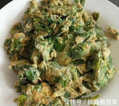 叶子|他是“穷人的医生”,才2块钱一斤,年后要常吃,降脂降压护心脏