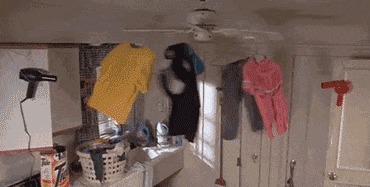 |搞笑GIF:妹纸的脸简直太魔性了,看的止不住笑