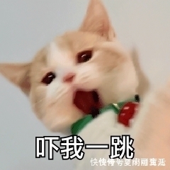 怀孕|怀孕了这几种危险行为孕妇别做,避免误伤胎儿!八成孕妈踩过雷!