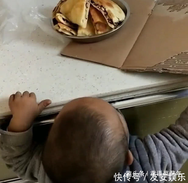 迷你版|迷你版“吃货小达人”用纸箱子偷肉饼吃火了，绝对是个“惯犯”
