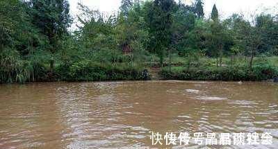 涨水|钓鲫鱼涨水和落水时选择钓点，依据下面2点就行了