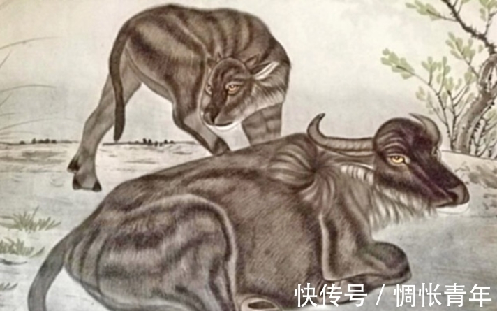 e20|2022年一到,运势大旺,福禄缠身,财业当红,锦鲤翻身的生肖