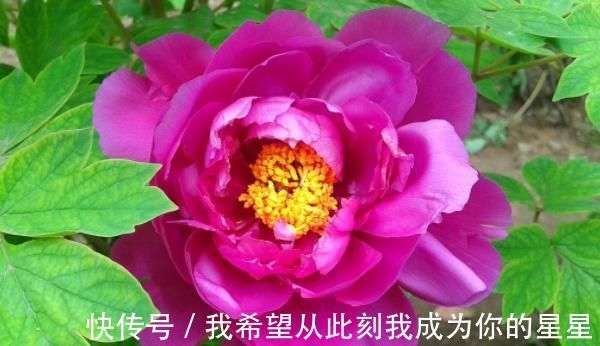 妙计|君子易处小人难防,击垮小人的4大妙计,学会一招小人跪地求饶!