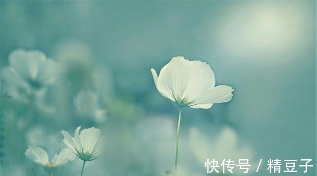 红绳|7月底，盼你归，盼爱回，桃花迎旧缘，喜鹊系红绳，余生再不离分