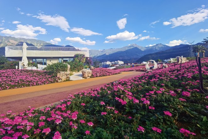 黄河之滨|四川文旅x快手72小时直播活动，超2000万人次线上游四川