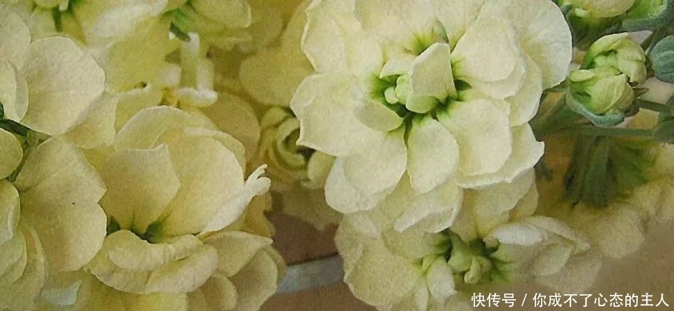 和舒服的人在一起,就是最好的养生