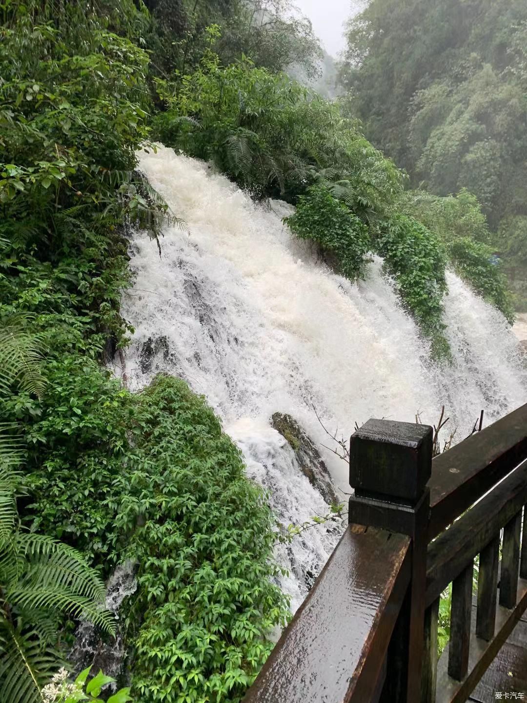 沃沃雨中伴我游（一）