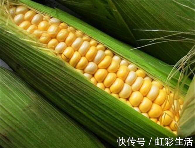 食物|会吃的人最长寿，常吃四种食物，清肠排毒，美颜抗衰，谁吃谁健康