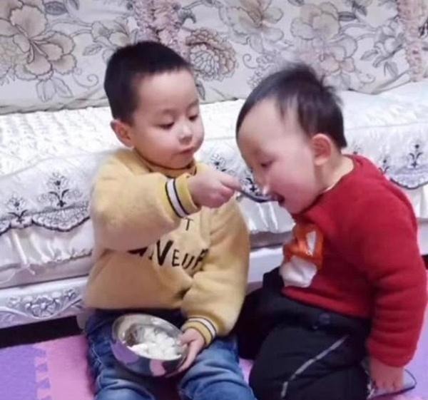 宝妈|哥哥独占饭碗,弟弟高情商讨要食物,宝妈“一箭双雕”方法太赞
