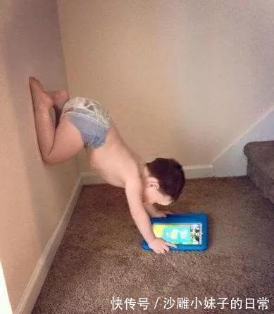 |搞笑GIF：看着别人家的狗子，我觉得今晚我想吃狗肉火锅