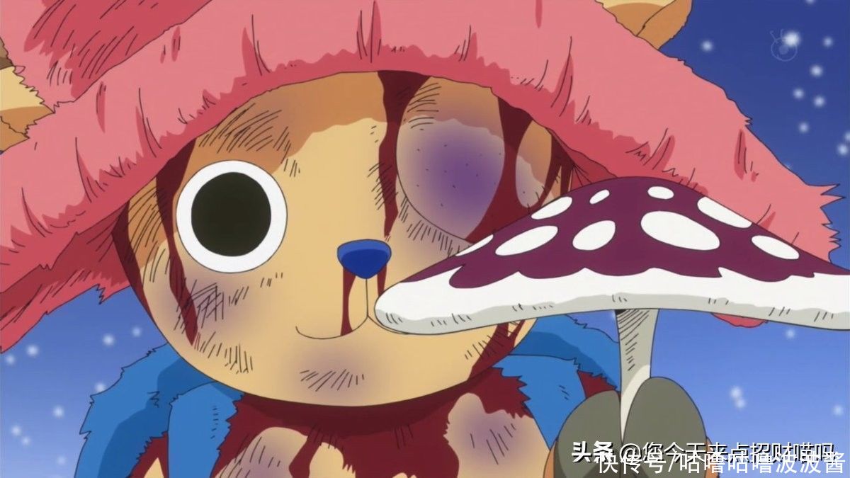 喬巴|海賊王：喬巴是“最慘”團寵？海迷：50貝利賞金，打著過億的戰斗