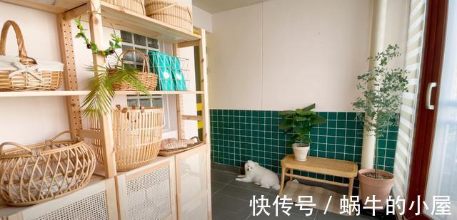 一人|一人一狗,独居生活有条有序,要是没结婚,我也想过这样的生活