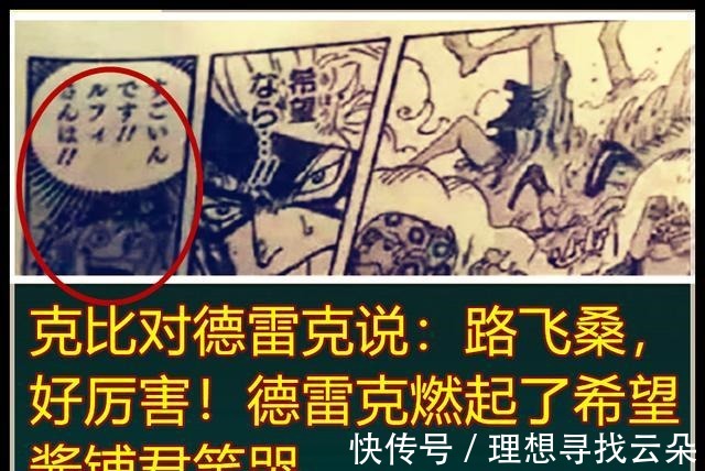 酱铺君|海贼王990话分析德雷克被克比告知路飞很厉害，德雷克我想活下去