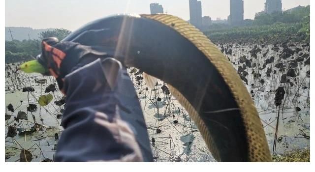 钓友|钓鱼人的崩溃只在一瞬间，这4个悲惨经历，体会过的人才懂