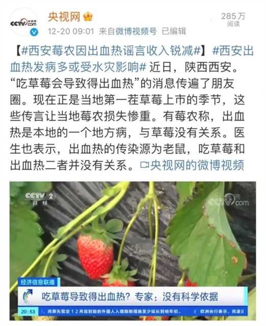 hfrs|草莓“背锅”？丨发烧、头疼高发季，还需警惕出血热