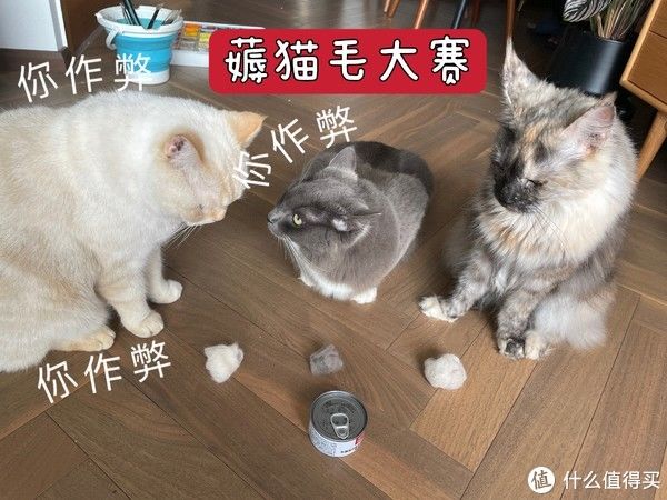 净味器|细盘家里值得买的好物——家居篇（内含踩坑物品）