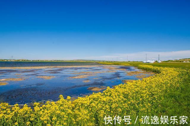 忽必烈|去草原不要只知道呼伦贝尔，同在内蒙古，这里有世界前四的草原