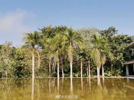 老年|葫芦岛蝶变科学岛之谜