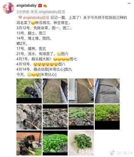育儿|杨颖“接地气式”育儿，日常带孩子下地劳作，富养而不娇养