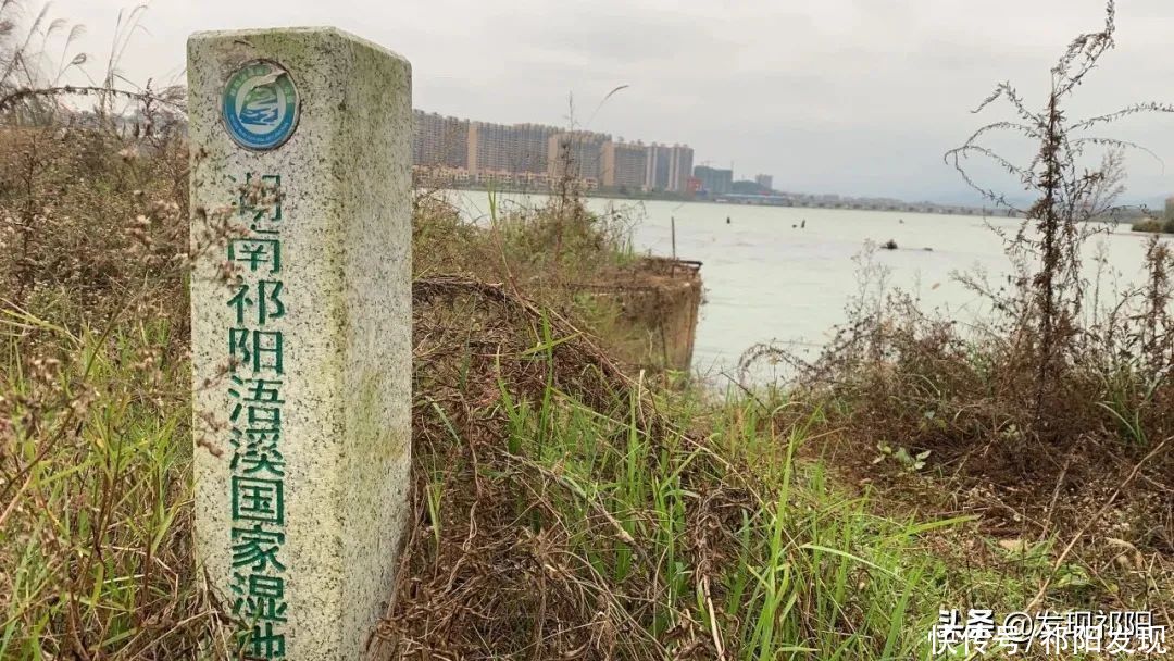 上海|祁阳的一片海，站在小江村看二桥