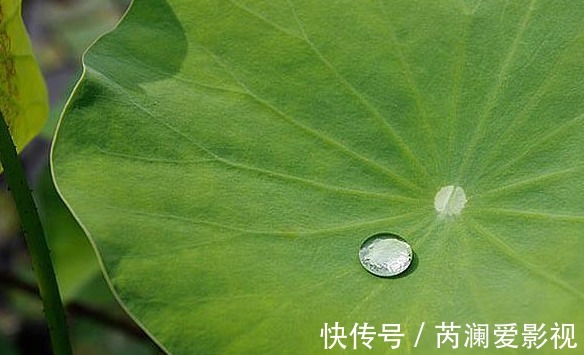 肝火旺|初秋上火,降火解毒,多吃三物,常饮三水,常按三处!