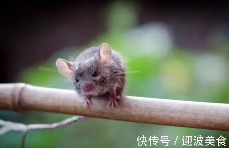 诗经&史上最优雅的6句“脏话”,骂人不带脏字,听到还会以为在夸人