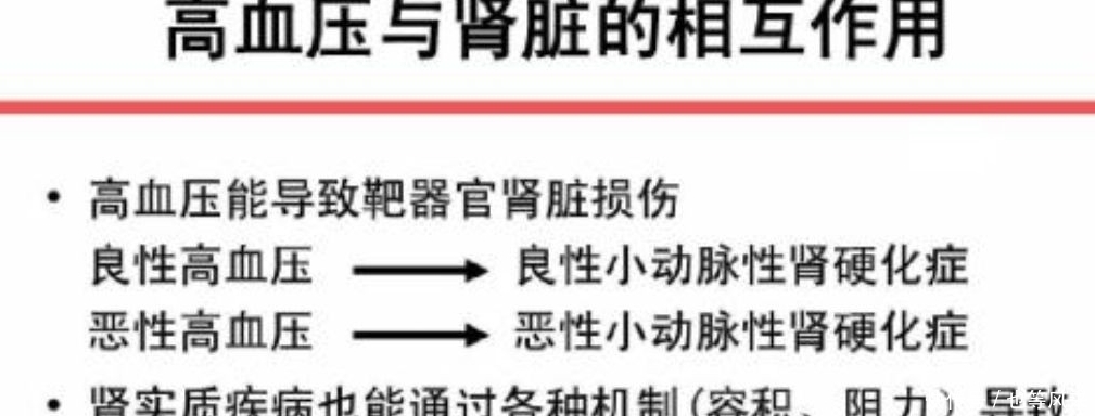 你知道肾性高血压和高血压性肾病有什么区别吗，我来给你分析一下