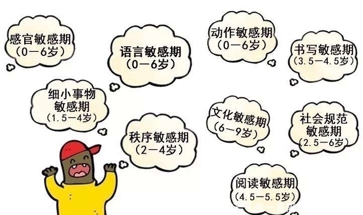 孩子|智商越高的孩子越难带!孩子若有这3个“烦人”行为,家长该高兴!