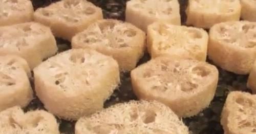 分钱|“3种料”垫盆底,花卉越长越有劲,不花1分钱,养啥旺啥