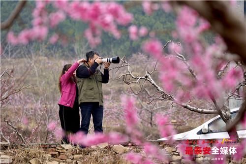 泰城春意浓 不负好时节