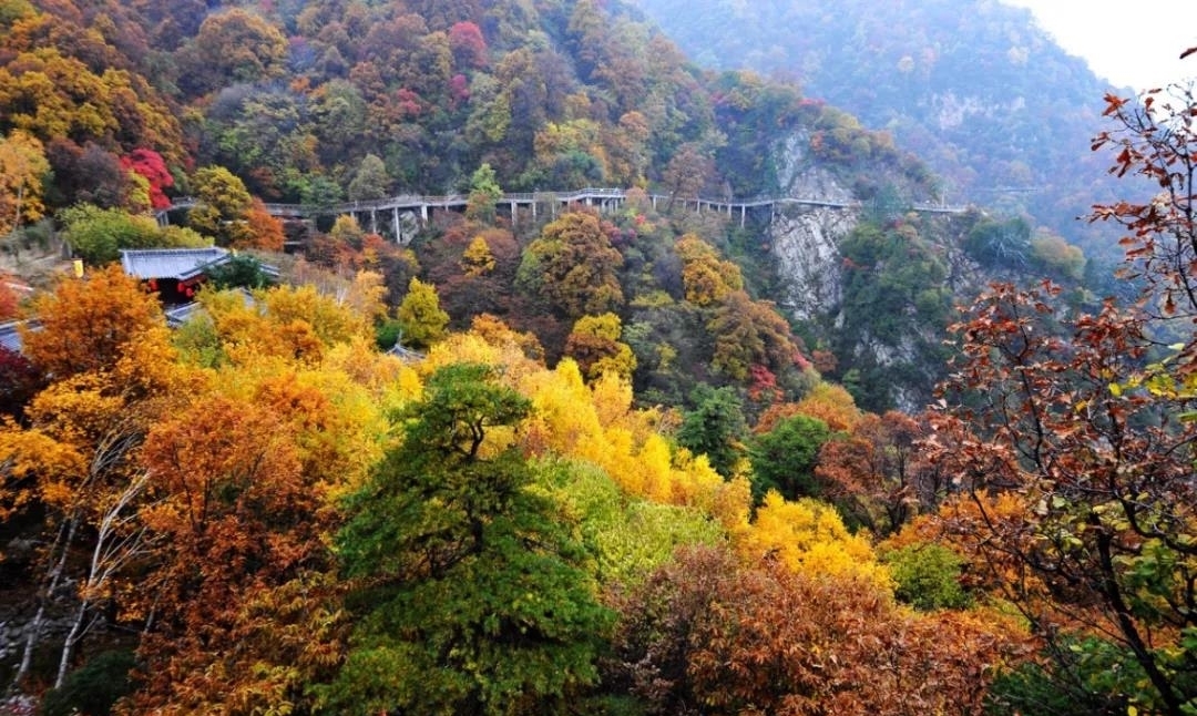 崆峒山|金秋十月，陕西少华山、崆峒山、白鹿原尽显深秋风光