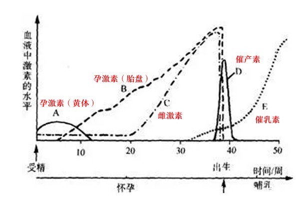 油敏皮|凭什么有人怀孕还能变美?照着这份“护肤教科书”美的不止一个度