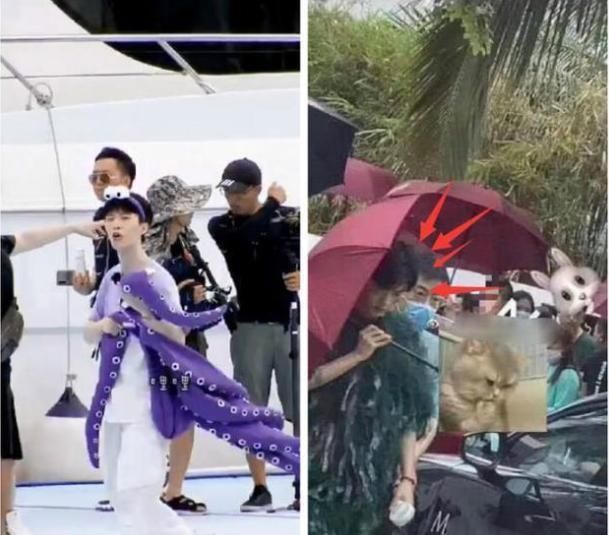 保镖|《青春环游记2》肖战保镖打人又是一个天降之锅