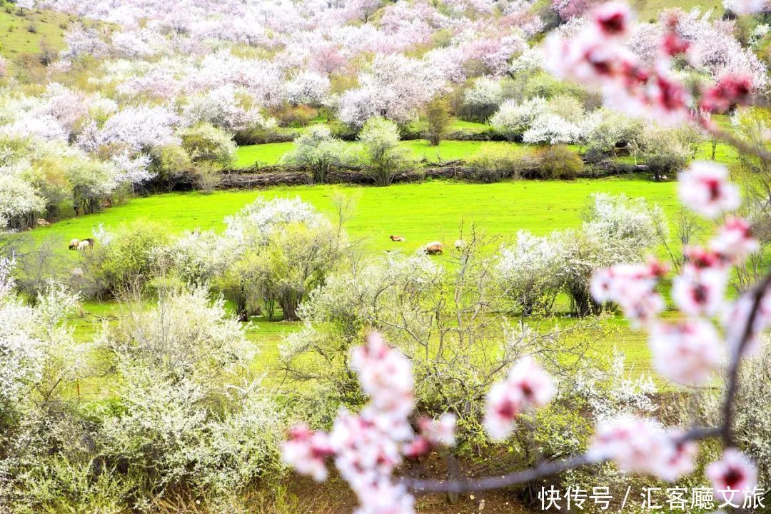 10个适合一去再去的国内旅行地，总有一个是能治愈你的远方！