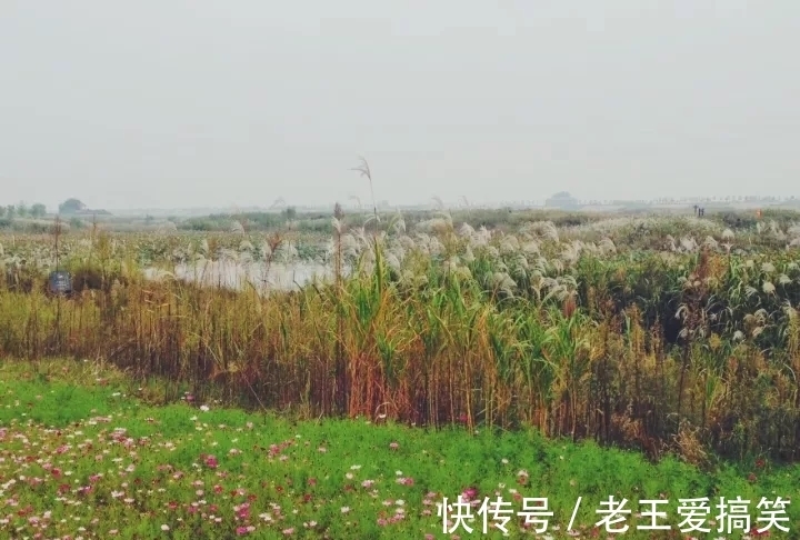 秋色|雨后的西安，值得期待