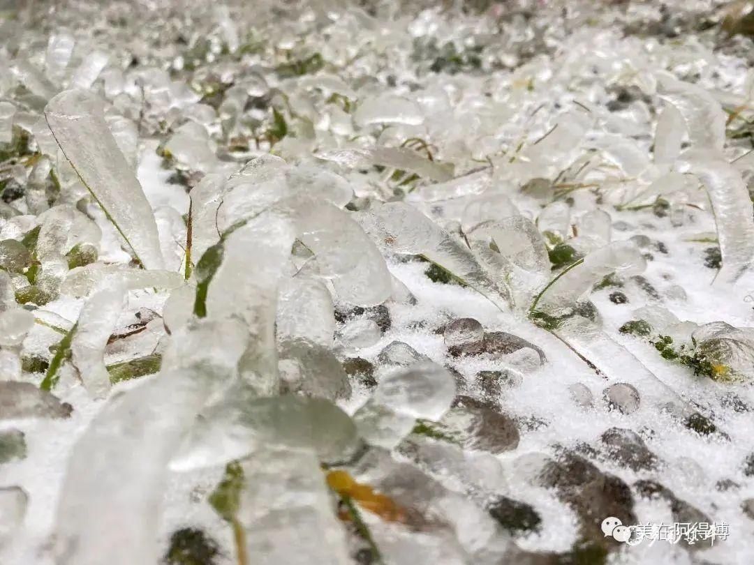 记忆 ｜寒潮再次来袭，还记得前几天的雪吗？