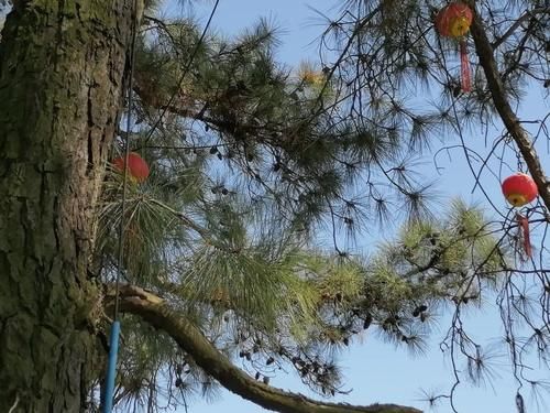 什刹海|亲历｜金甲古镇搭帐篷、晒太阳、看夕阳