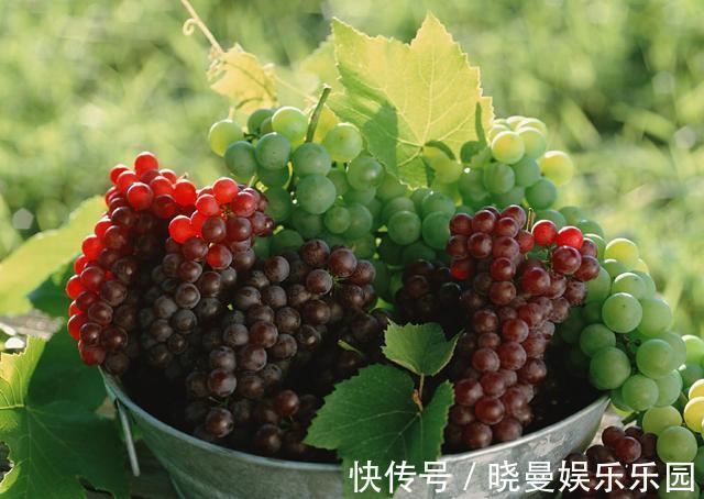 食用|四类水果要少吃,虽然很可口,但对孕妇并不好,易引发滑胎