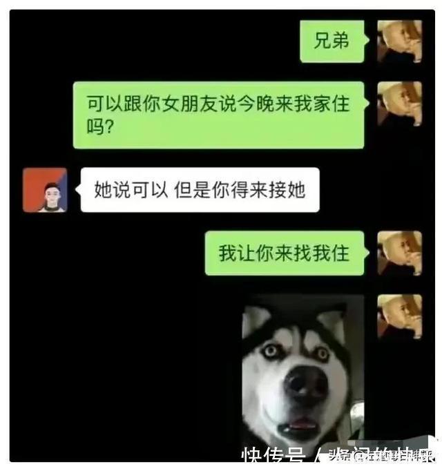 |搞笑神评:和女孩子约会一定要去爬山,坡越陡越好!都是套路啊