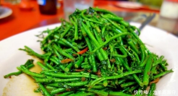 天香菜|农村很常见的一种野菜,具有降糖、降脂、降压的作用,你知道吗?