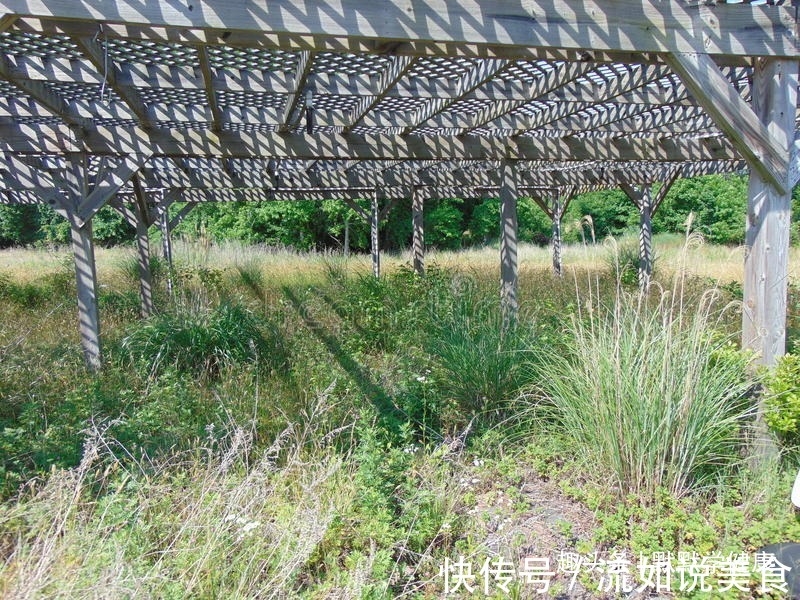 陰陽|2個助眠秘方，幫你平寒熱，調陰陽！失眠2年，只因“上熱下寒”