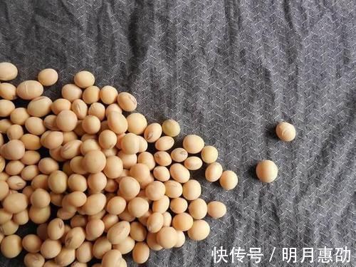 孩子|要孩子长大个,4个影响因素很重要,孩子常吃这些食物有助于长高