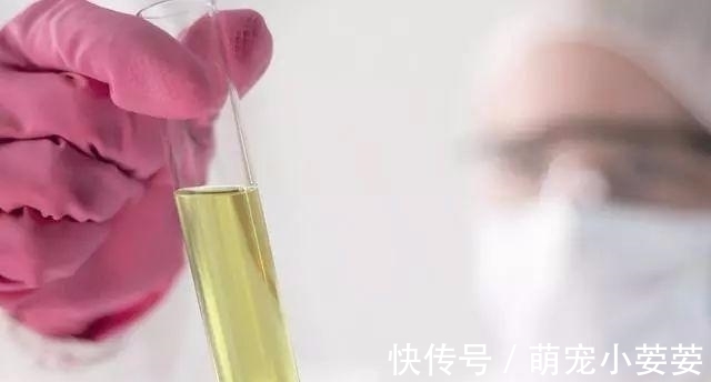 尿毒症|不想被尿毒症打个“措手不及”,糖尿病患者坚持2件事,避免透析