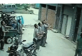 |搞笑GIF:买个加热器,把养的乌龟煮熟了