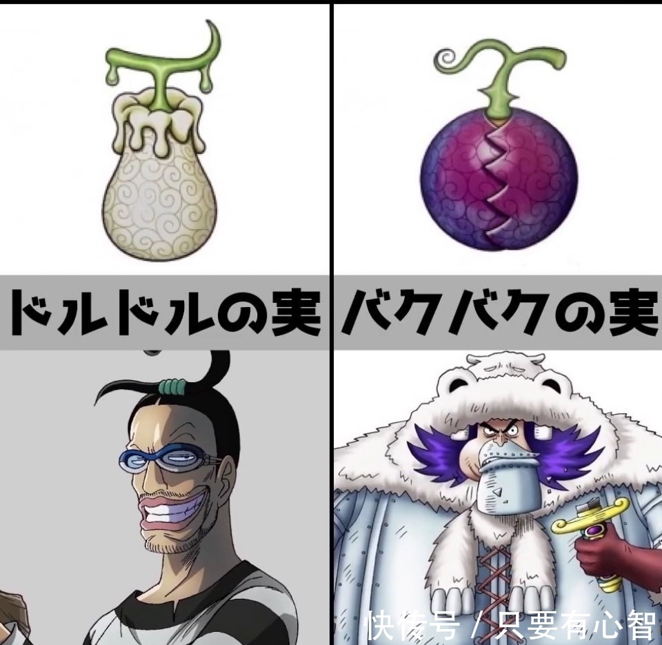 海贼王|《海贼王》恶魔果实，你最想拥有哪种？花花果实最漂亮
