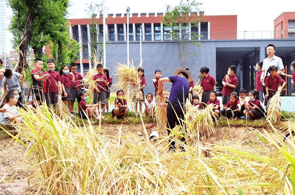 两江|两江新区童心小学：校园+自然童心 让教育如农业精耕细作