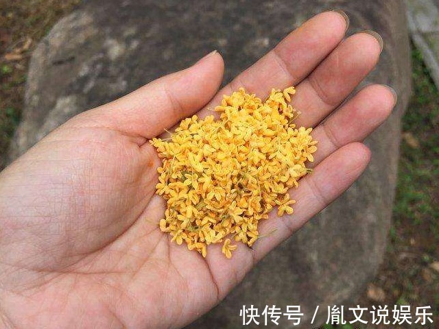 银耳|晚上失眠多梦怎么办3碗简单还实用的安神汤教会你,养血还安神