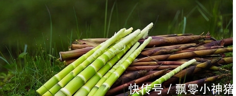 七律!小雪节气,分享黄庭坚的一首佳作,笔墨酣畅,充满了悠闲之意